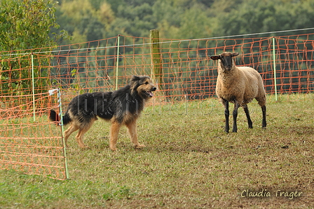 AAH Bundeshüten 2016 / Bild 82 von 163 / 18.09.2016 10:08 / DSC_4299.JPG