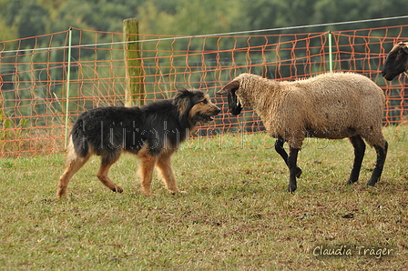 AAH Bundeshüten 2016 / Bild 83 von 163 / 18.09.2016 10:08 / DSC_4301.JPG