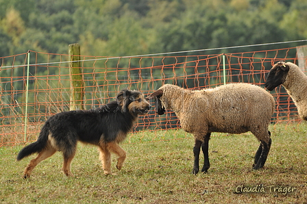 AAH Bundeshüten 2016 / Bild 84 von 163 / 18.09.2016 10:08 / DSC_4302.JPG