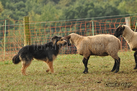 AAH Bundeshüten 2016 / Bild 86 von 163 / 18.09.2016 10:08 / DSC_4304.JPG