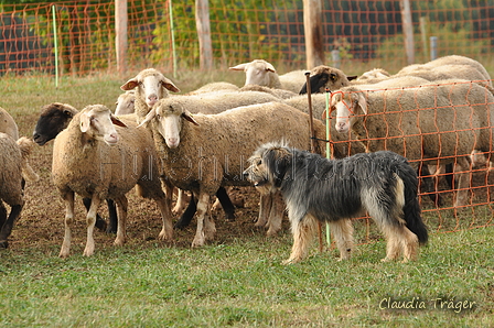 AAH Bundeshüten 2016 / Bild 92 von 163 / 18.09.2016 10:09 / DSC_4322.JPG