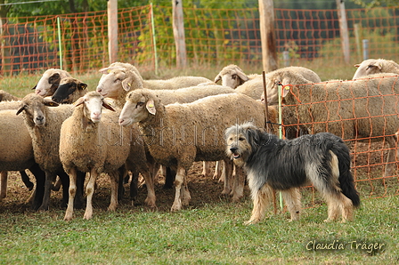 AAH Bundeshüten 2016 / Bild 93 von 163 / 18.09.2016 10:09 / DSC_4324.JPG