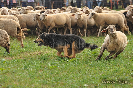 AAH Bundeshüten 2016 / Bild 96 von 163 / 18.09.2016 10:13 / DSC_4410.JPG