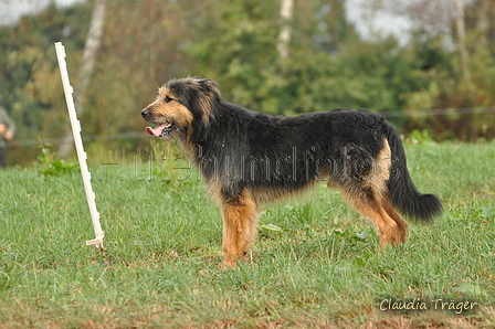 AAH Bundeshüten 2016 / Bild 99 von 163 / 18.09.2016 10:14 / DSC_4442.JPG