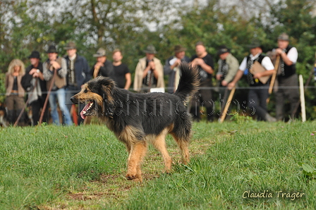 AAH Bundeshüten 2016 / Bild 100 von 163 / 18.09.2016 10:16 / DSC_4460.JPG