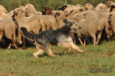 AAH Bundeshüten 2016 / Bild 104 von 163 / 18.09.2016 10:20 / DSC_4547.JPG