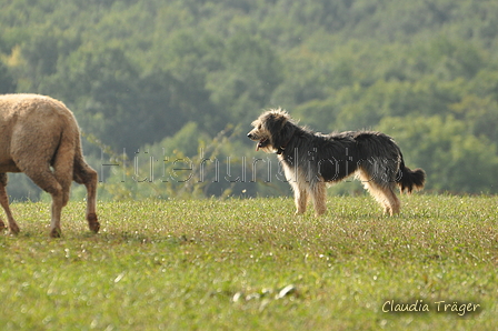 AAH Bundeshüten 2016 / Bild 108 von 163 / 18.09.2016 10:24 / DSC_4627.JPG