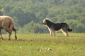 AAH Bundeshüten 2016 / Bild 108 von 163 / 18.09.2016 10:24 / DSC_4627.JPG