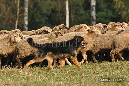 AAH Bundeshüten 2016 / Bild 110 von 163 / 18.09.2016 10:35 / DSC_4735.JPG