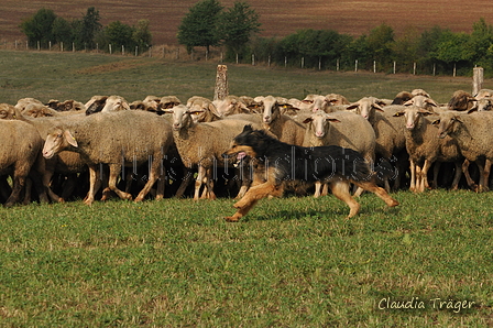 AAH Bundeshüten 2016 / Bild 111 von 163 / 18.09.2016 10:36 / DSC_4763.JPG