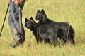 AAH Bundeshüten 2016 / Bild 115 von 163 / 18.09.2016 10:51 / DSC_4841.JPG