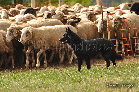 AAH Bundeshüten 2016 / Bild 119 von 163 / 18.09.2016 11:22 / DSC_5062.JPG