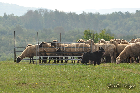 AAH Bundeshüten 2016 / Bild 123 von 163 / 18.09.2016 11:36 / DSC_5331.JPG