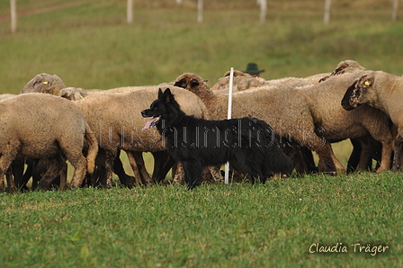 AAH Bundeshüten 2016 / Bild 125 von 163 / 18.09.2016 11:48 / DSC_5574.JPG