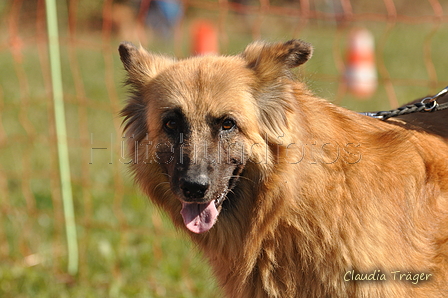 AAH Bundeshüten 2016 / Bild 128 von 163 / 18.09.2016 12:33 / DSC_5746.JPG