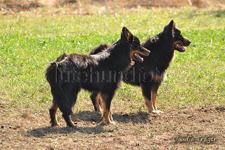 AAH Bundeshüten 2016 / Bild 138 von 163 / 18.09.2016 13:29 / DSC_6161.JPG