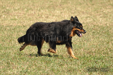 AAH Bundeshüten 2016 / Bild 145 von 163 / 18.09.2016 13:54 / DSC_6628.JPG