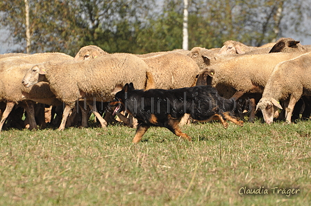 AAH Bundeshüten 2016 / Bild 146 von 163 / 18.09.2016 13:58 / DSC_6677.JPG