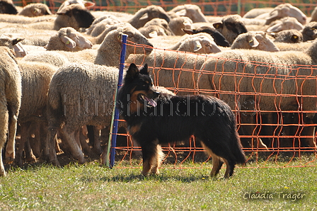 AAH Bundeshüten 2016 / Bild 148 von 163 / 18.09.2016 14:01 / DSC_6762.JPG