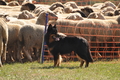 AAH Bundeshüten 2016 / Bild 148 von 163 / 18.09.2016 14:01 / DSC_6762.JPG