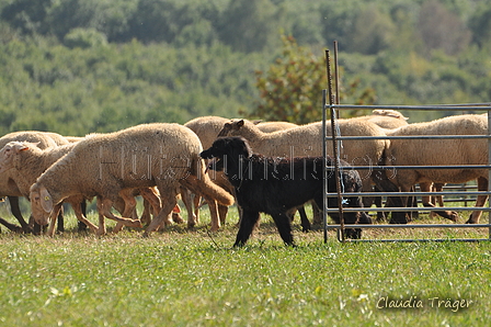 AAH Bundeshüten 2016 / Bild 157 von 163 / 18.09.2016 14:56 / DSC_7224.JPG