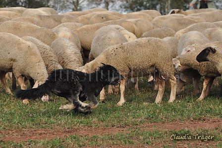 AAH Bundeshüten 2016 / Bild 159 von 163 / 18.09.2016 15:10 / DSC_7539.JPG