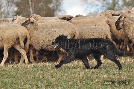 AAH Bundeshüten 2016 / Bild 160 von 163 / 18.09.2016 15:11 / DSC_7577.JPG