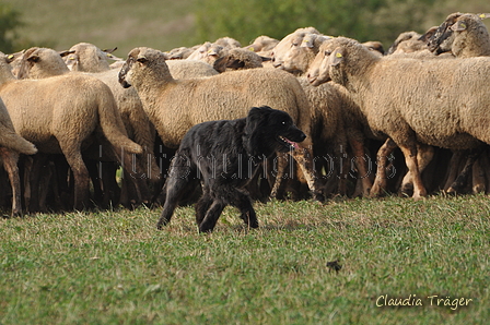 AAH Bundeshüten 2016 / Bild 161 von 163 / 18.09.2016 15:14 / DSC_7645.JPG