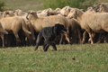 AAH Bundeshüten 2016 / Bild 161 von 163 / 18.09.2016 15:14 / DSC_7645.JPG