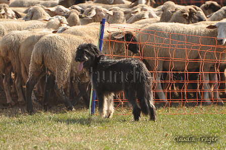 AAH Bundeshüten 2016 / Bild 162 von 163 / 18.09.2016 15:17 / DSC_7711.JPG