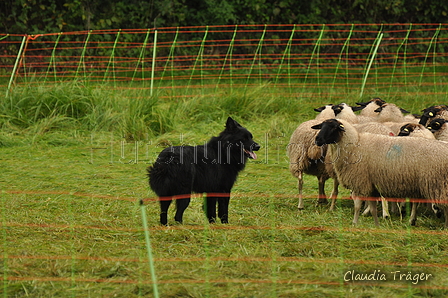 AAH Bundeshüten 2017 / Bild 12 von 352 / 09.09.2017 10:49 / DSC_0024.JPG