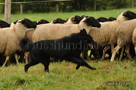 AAH Bundeshüten 2017 / Bild 14 von 352 / 09.09.2017 10:52 / DSC_0045.JPG