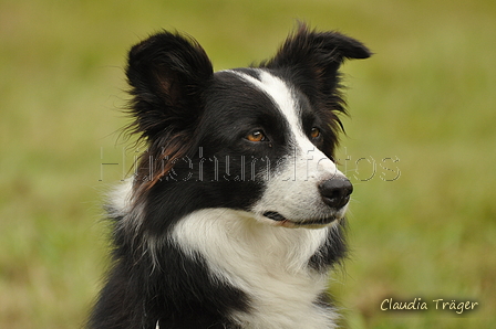 AAH Bundeshüten 2017 / Bild 30 von 352 / 09.09.2017 11:44 / DSC_0469.JPG