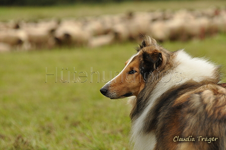 AAH Bundeshüten 2017 / Bild 32 von 352 / 09.09.2017 11:46 / DSC_0477.JPG