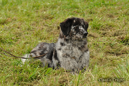 AAH Bundeshüten 2017 / Bild 35 von 352 / 09.09.2017 11:47 / DSC_0494.JPG