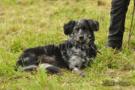 AAH Bundeshüten 2017 / Bild 37 von 352 / 09.09.2017 11:48 / DSC_0504.JPG