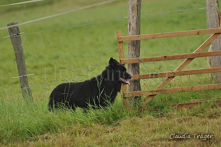 AAH Bundeshüten 2017 / Bild 46 von 352 / 09.09.2017 12:06 / DSC_0666.JPG