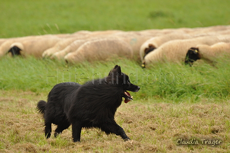 AAH Bundeshüten 2017 / Bild 47 von 352 / 09.09.2017 12:10 / DSC_0709.JPG