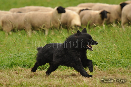 AAH Bundeshüten 2017 / Bild 49 von 352 / 09.09.2017 12:11 / DSC_0754.JPG