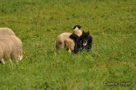 AAH Bundeshüten 2017 / Bild 54 von 352 / 09.09.2017 12:34 / DSC_1017.JPG