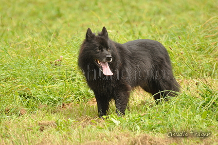 AAH Bundeshüten 2017 / Bild 56 von 352 / 09.09.2017 12:35 / DSC_1040.JPG