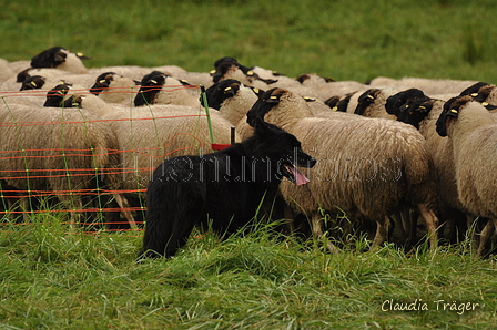 AAH Bundeshüten 2017 / Bild 58 von 352 / 09.09.2017 12:44 / DSC_1117.JPG