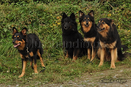 AAH Bundeshüten 2017 / Bild 61 von 352 / 09.09.2017 12:48 / DSC_1176.JPG