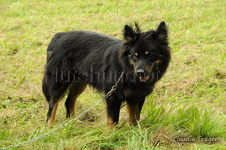 AAH Bundeshüten 2017 / Bild 75 von 352 / 09.09.2017 13:47 / DSC_4843.JPG