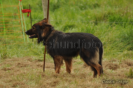 AAH Bundeshüten 2017 / Bild 80 von 352 / 09.09.2017 14:13 / DSC_1394.JPG