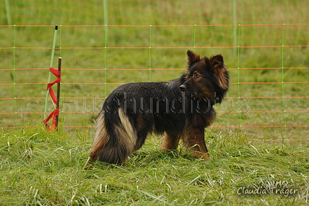 AAH Bundeshüten 2017 / Bild 81 von 352 / 09.09.2017 14:15 / DSC_1419.JPG