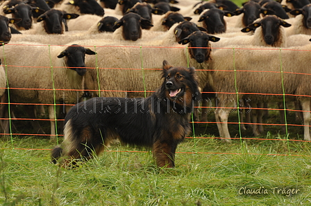 AAH Bundeshüten 2017 / Bild 82 von 352 / 09.09.2017 14:16 / DSC_1433.JPG