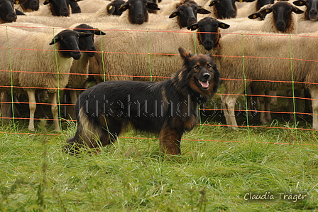 AAH Bundeshüten 2017 / Bild 83 von 352 / 09.09.2017 14:16 / DSC_1436.JPG