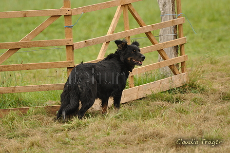 AAH Bundeshüten 2017 / Bild 85 von 352 / 09.09.2017 14:18 / DSC_1472.JPG