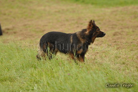 AAH Bundeshüten 2017 / Bild 87 von 352 / 09.09.2017 14:22 / DSC_1510.JPG